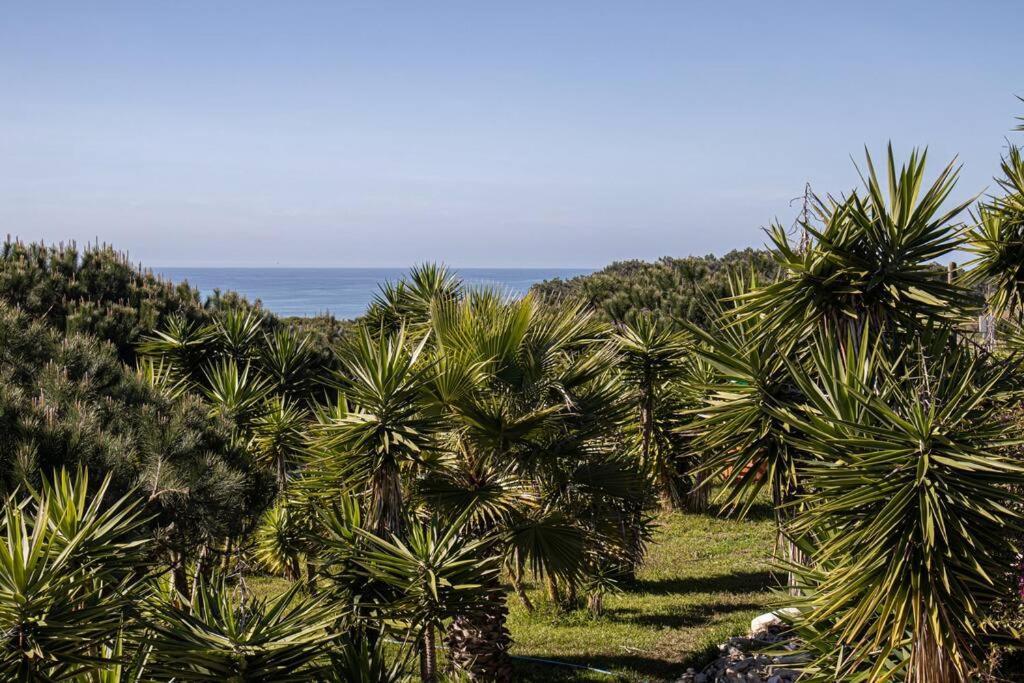 Pe Na Praia Torres Vedras Exterior foto